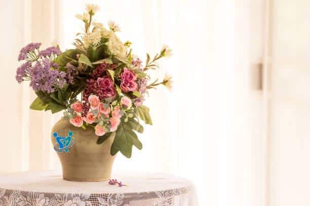 رسومات شقق عرايس 2023 30 نباتات